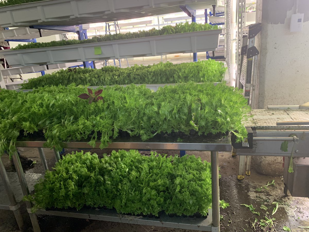 Ohio State ATI Greenhouse Program tweet media
