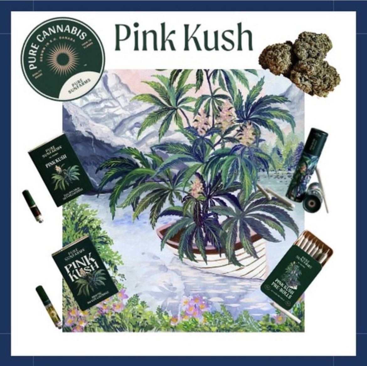 Independent Retail Cannabis Collective tweet media