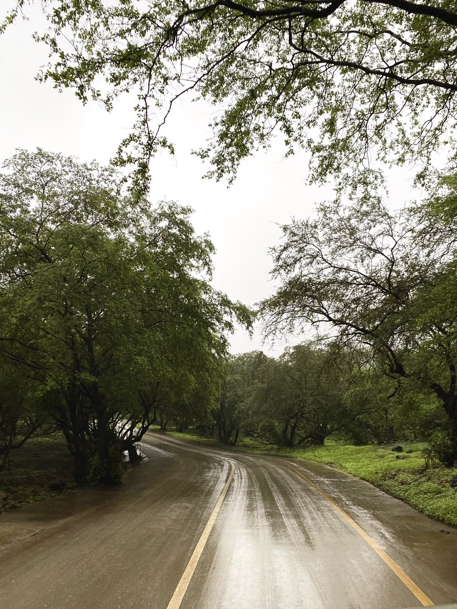 vii4c's tweet photo. Everything gets more beautiful with the rain❤️. https://t.co/DuplthJiX9