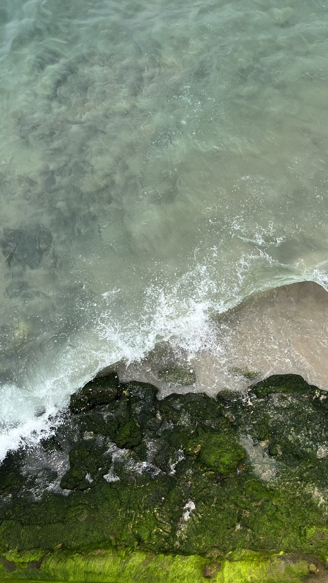 vii4c's tweet photo. Everything gets more beautiful with the rain❤️. https://t.co/DuplthJiX9