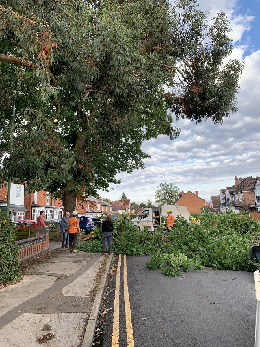 KarenGrinsell's tweet photo. Great work by @idverdeUK @SolihullCouncil clearing large fallen tree branch on Longmore Road #Solihul https://t.co/vzOAOccZ3u