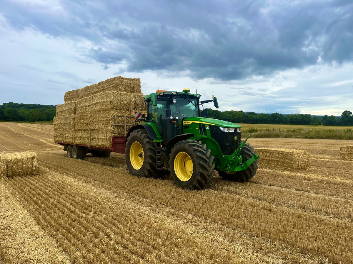 🇺🇦🇺🇦RM & JF Seed🇺🇦🇺🇦 tweet media