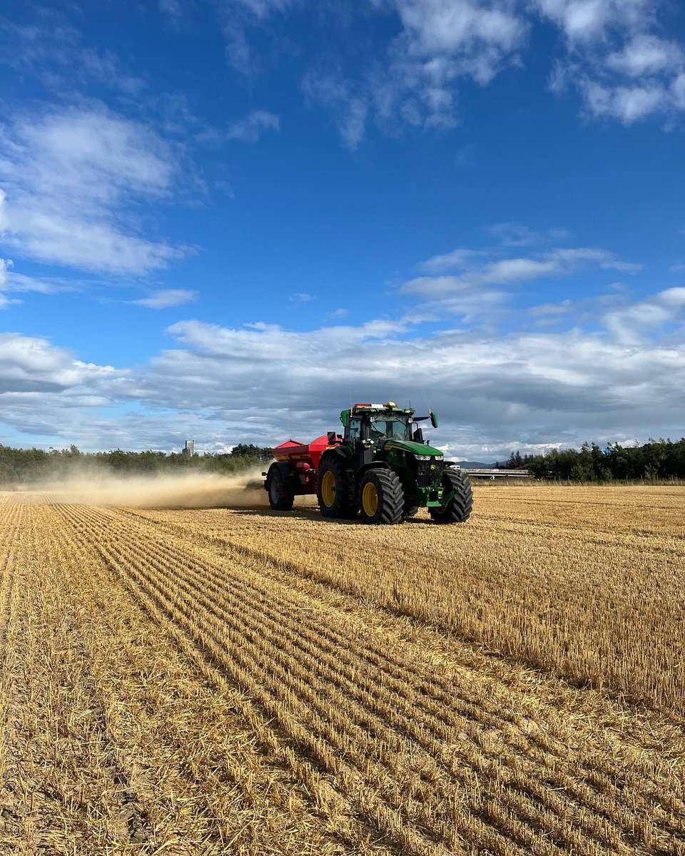 🇺🇦🇺🇦RM & JF Seed🇺🇦🇺🇦 tweet media