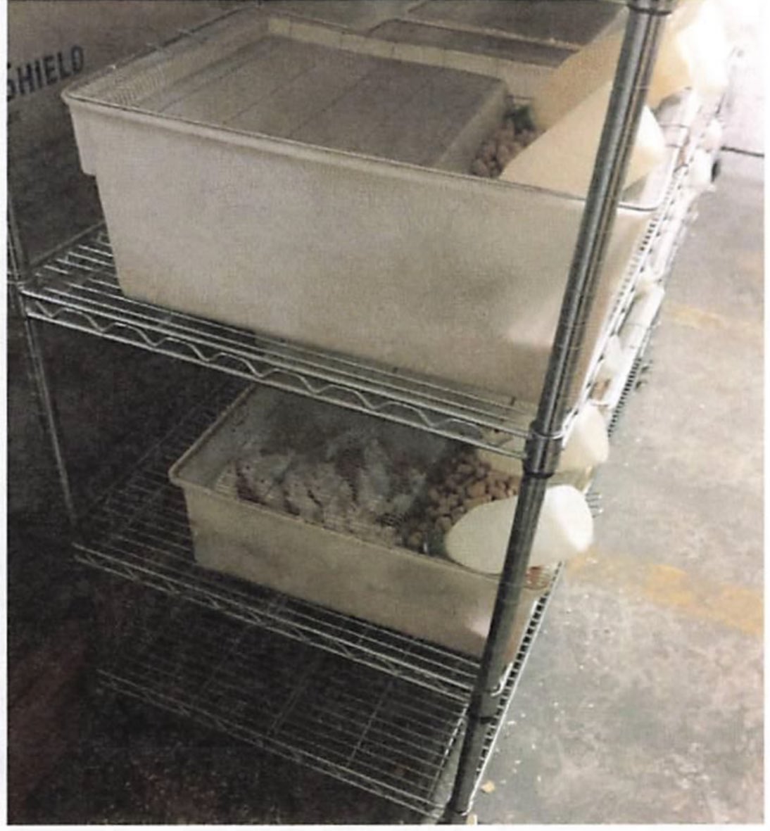 JoshWalkos's tweet photo. I found pictures directly from the legal docs presented as evidence. The last two are the conditions the mice lived in. According to the docs the lights were left on 24/7 which is torture for a mouse. The prestige rep was very concerned about the “special mice” according to emails between them and the health department as well.
