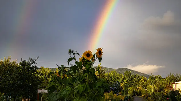 Rolf_Georg_E's tweet photo. Nacht #Gedank für den August 1523
So fort, du ewger Pelz.
Im Nassen bist so wertlos schwer.
Keiner kann dich tragen mehr.
Ohn' dich macht sich Kühle breit,
Doch im Walde ist muffig fad, ich meid
So würd ein Dache dem alles Trotz'
Ein Lager, voll mit kuschelnd Stroh,
Doch wo? https://t.co/Mml29OydgD