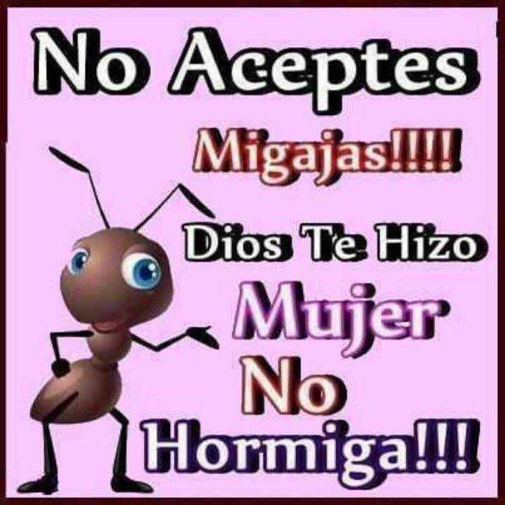 no me llamo vicenta (@kansaita_) on Twitter photo 