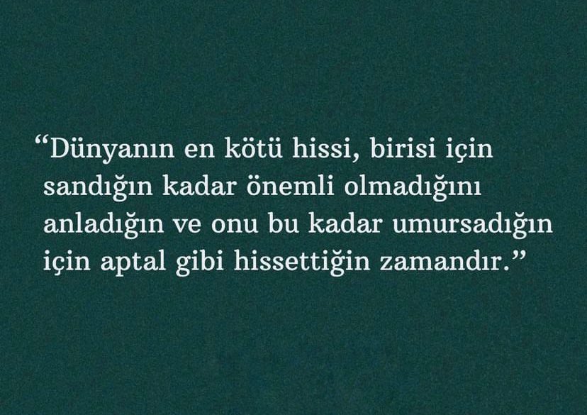 Sezen Aksu (@bensezenn) on Twitter photo 