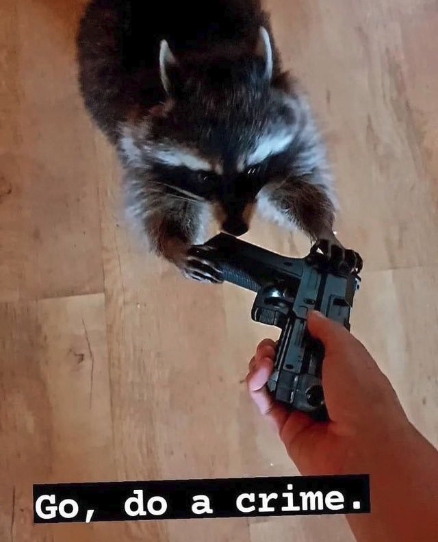 Skammers (MINTING LIVE) tweet media