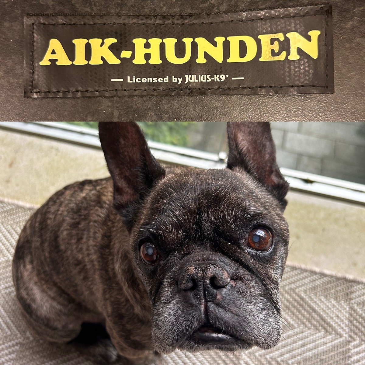 Roger van Tol tweet media