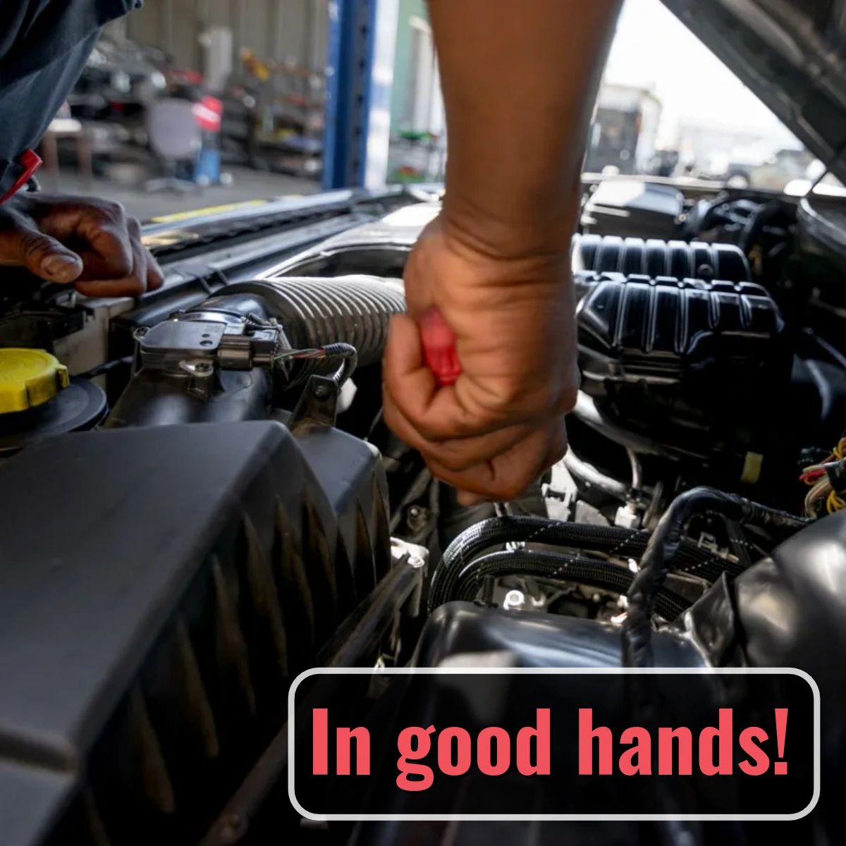 HarrisAuto_SC tweet picture