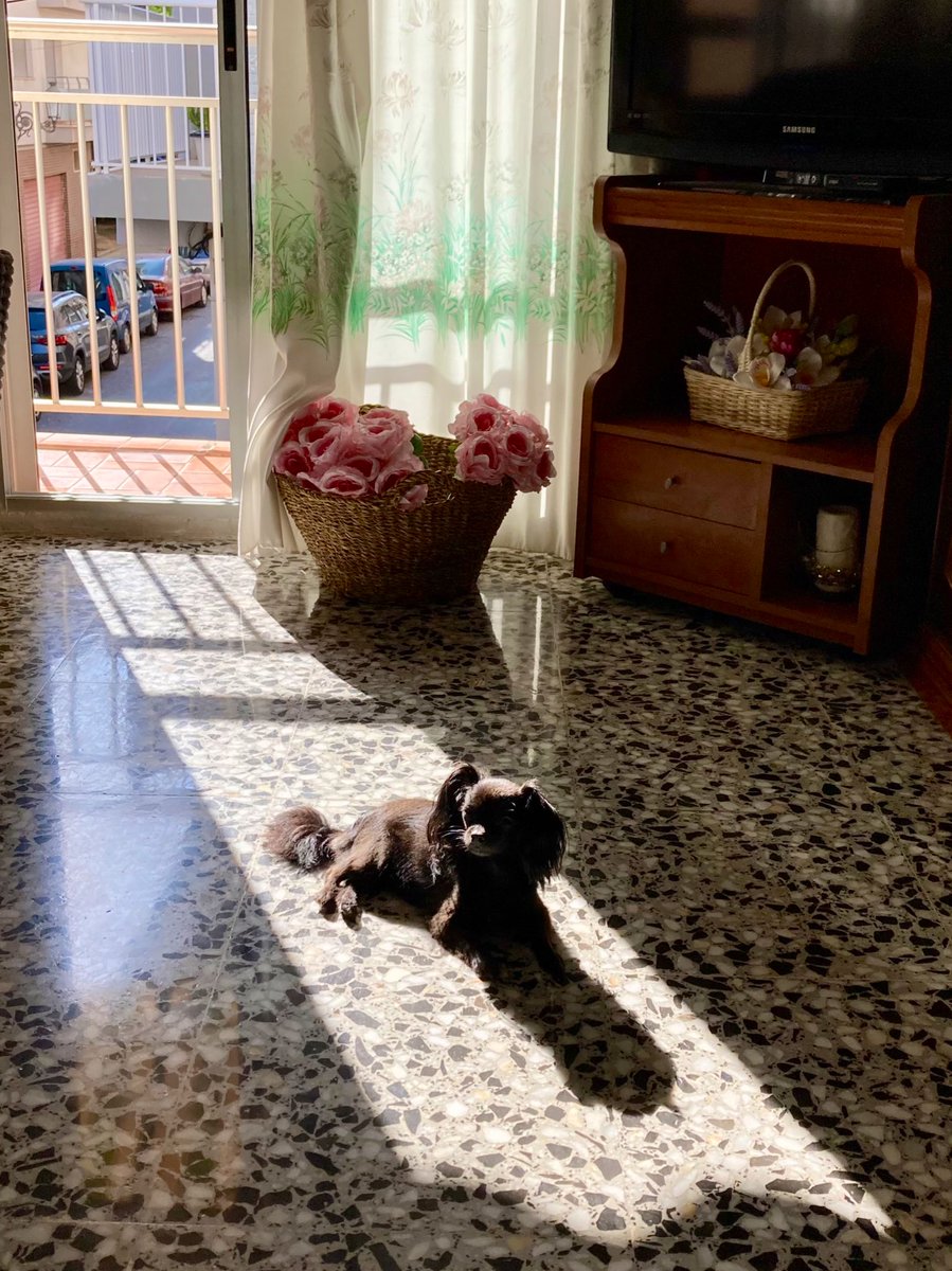 ritasemora's tweet photo. Julio se ha ido y fue un mes bonito! 
🥰❤️‍🔥☀️🌊 https://t.co/7RCs8X6cOw