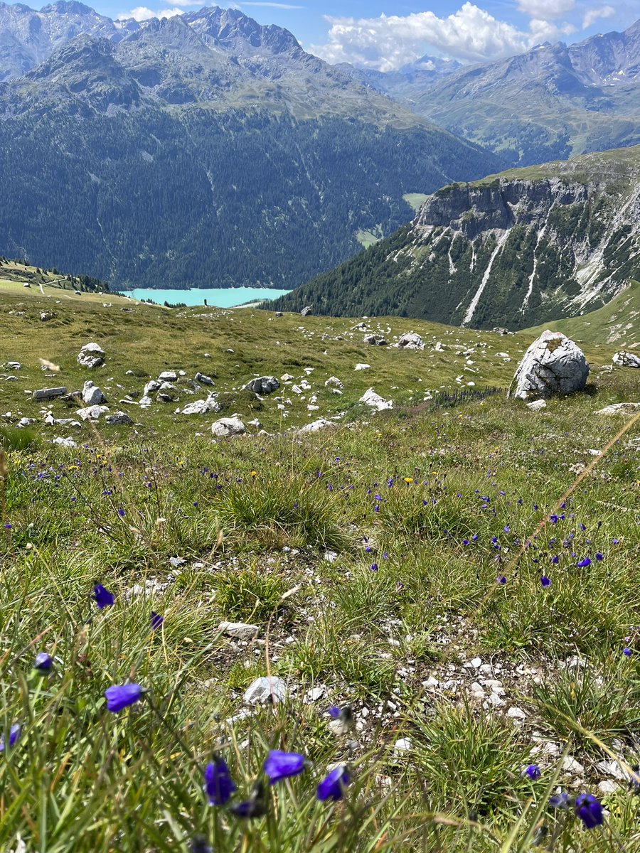 conrad_seraina's tweet photo. Abschlusswanderung im Maiensäss: Cufercal - Forcletta di Lai Pintg - Lai Grand (inkl. Bad) - Alp Nera - Promischur https://t.co/KcdfLpWVMK