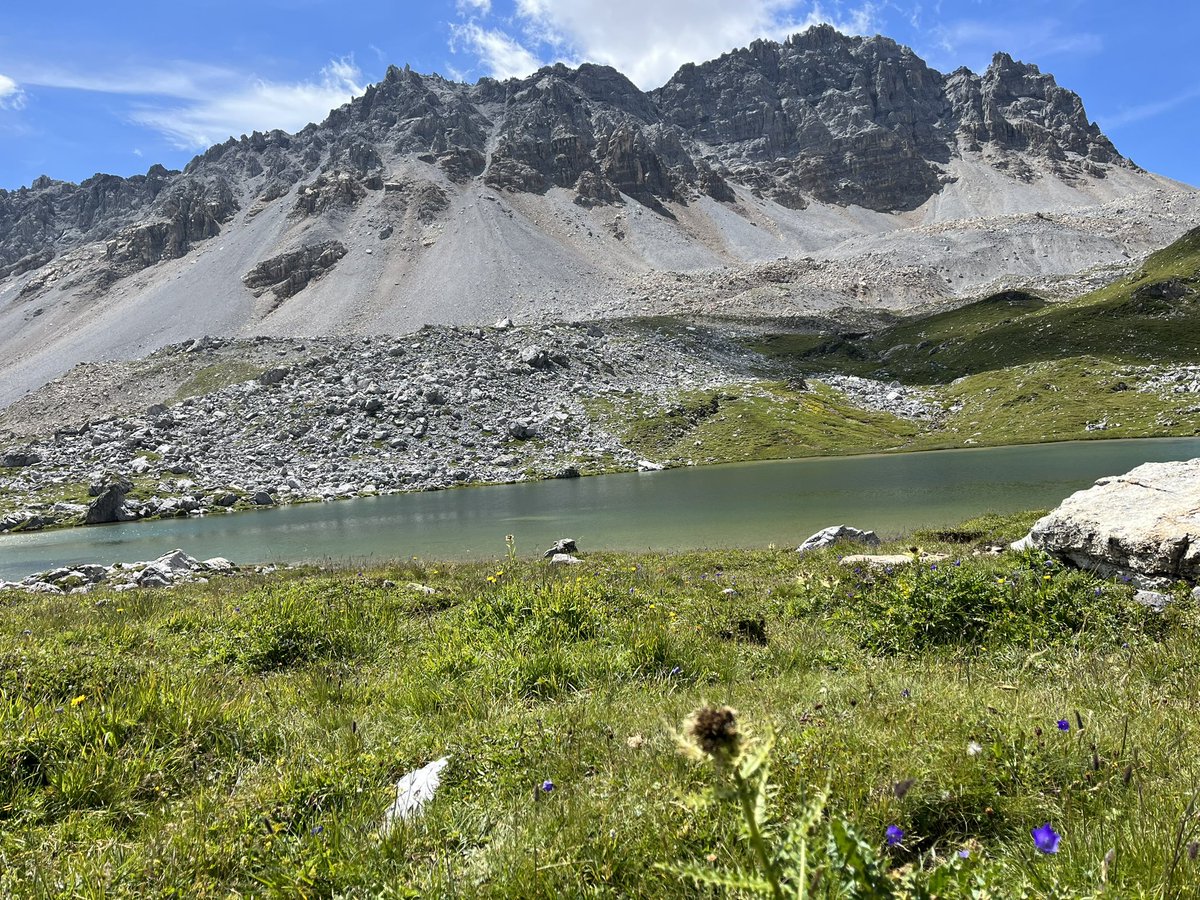 conrad_seraina's tweet photo. Abschlusswanderung im Maiensäss: Cufercal - Forcletta di Lai Pintg - Lai Grand (inkl. Bad) - Alp Nera - Promischur https://t.co/KcdfLpWVMK