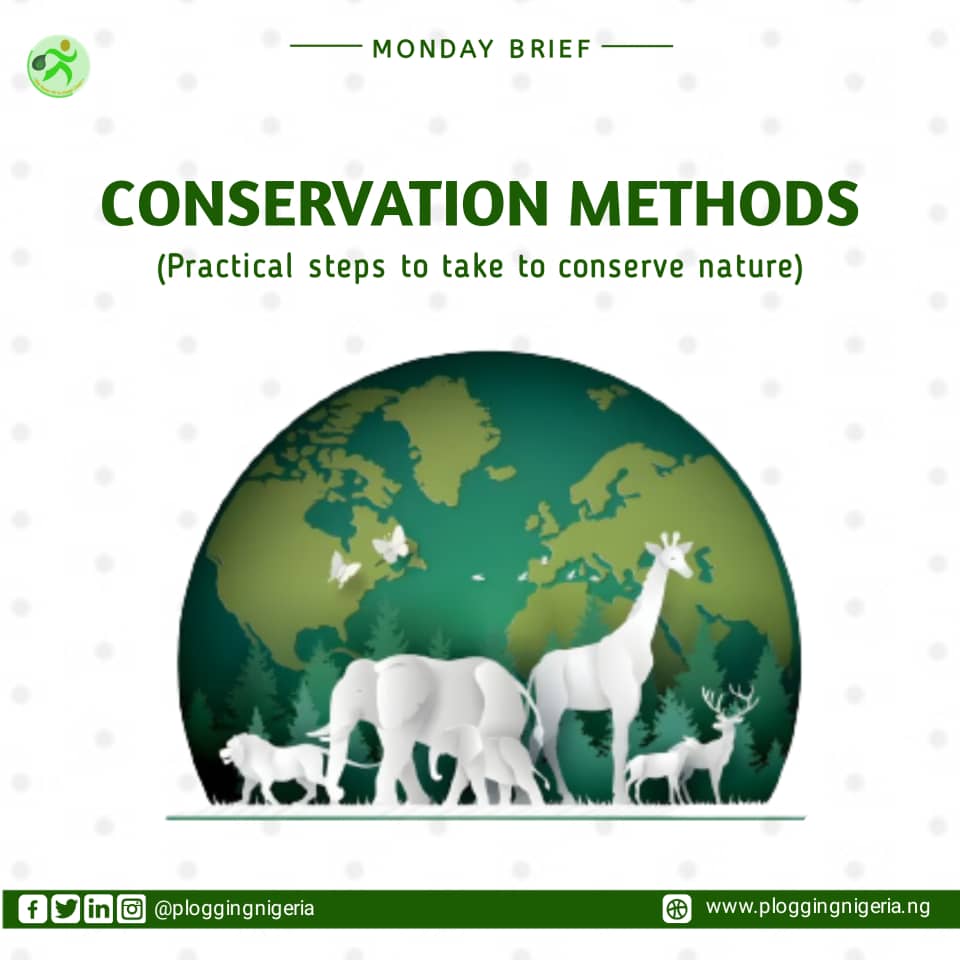 duchess_elina's tweet photo. #MondayBrief 

Theory without practical? We don't do that here.

We've been discussing the issue of Nature Conservation this month. Now is the time to talk and do. So here's our last piece for you on the subject matter. 

https://t.co/Rd3ePcIej3

#EducativeBrief
#PloggingNigeria https://t.co/hCUyInSCo1
