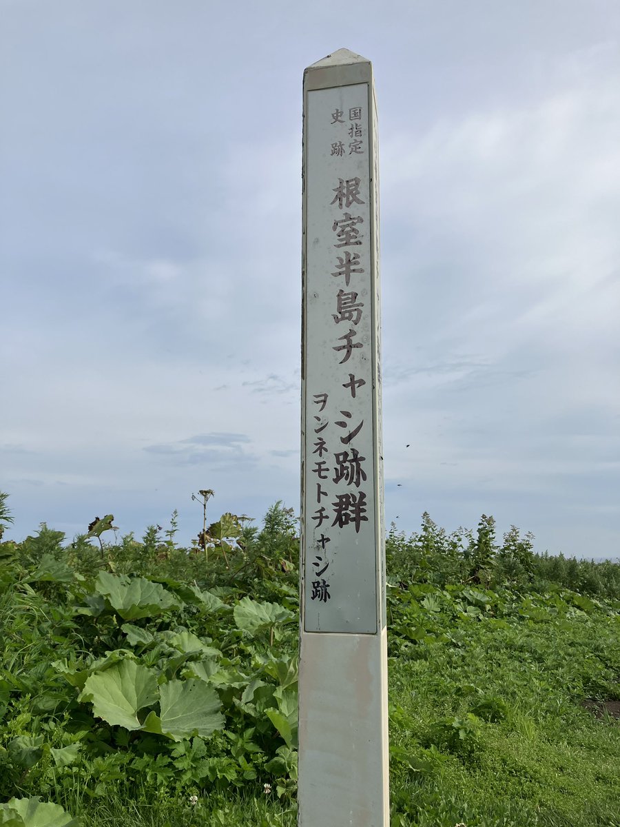 つよよ tweet media