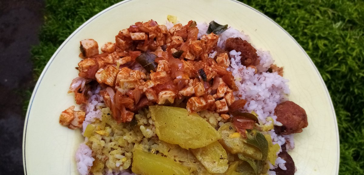 #TastyTuesday
⁣මගේ සාමාන්‍ය ආහාර රටාව 16 🥺❤️😋
▶️ කරපිංචා කැඳ, මාළුපාන්, උළුඳු වඩේ, පරිප්පු වඩේ
▶️ රතුබත්, මුරුංගා කොළ මැල්ලුම, පරිප්පු, බැදපු බිම්මල්, චිකන්
▶️ රතු සහ සුදු ඉඳිආප්ප, කිරිහොදි, කඩල තෙල් දැමුම, බිත්තර ඔම්ලට්, සොසේජස්
▶️ රතුබත්, ටෝෆු, කැකිරි 
#MyFoodStoryWithDewMal