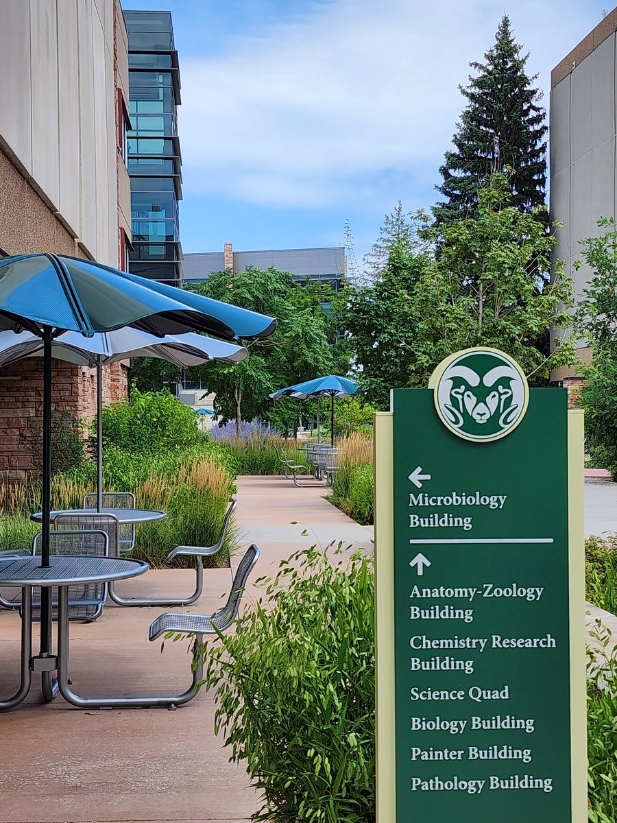 RamSafeResearch's tweet photo. We are back on campus advising on research safety and giving away FREE eye protection, while supplies last. #CSU is #ProudToBe #RAMsafe! ๐ฅฝ #FreePPE https://t.co/Gke4xshxXh