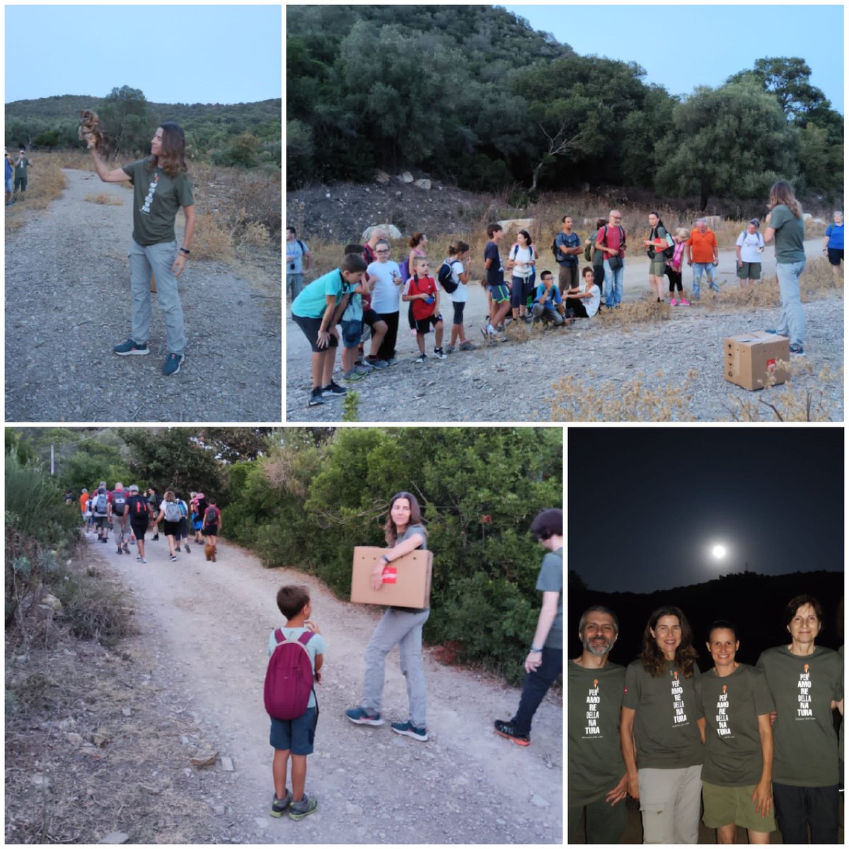 Birdwatch_Tolfa's tweet photo. Ieri sera durante una passeggiata notturna nella Valle del Marangone a #Civitavecchia, un giovane Allocco curato e riabilitato al CRFS Lipu di Roma è stato liberato. Grande emozione per il ritorno in #natura di questo rapace notturno! @LipuODV #retenatura2000 @ParchiLazio https://t.co/UzyymGr089