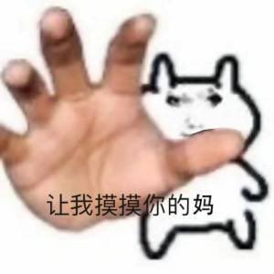 媒体预览