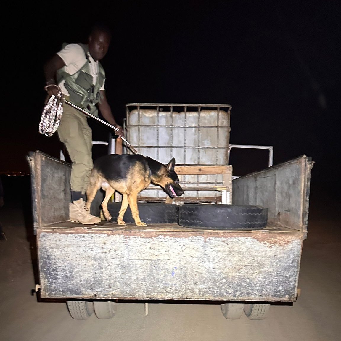 Project Biodiversity tweet media