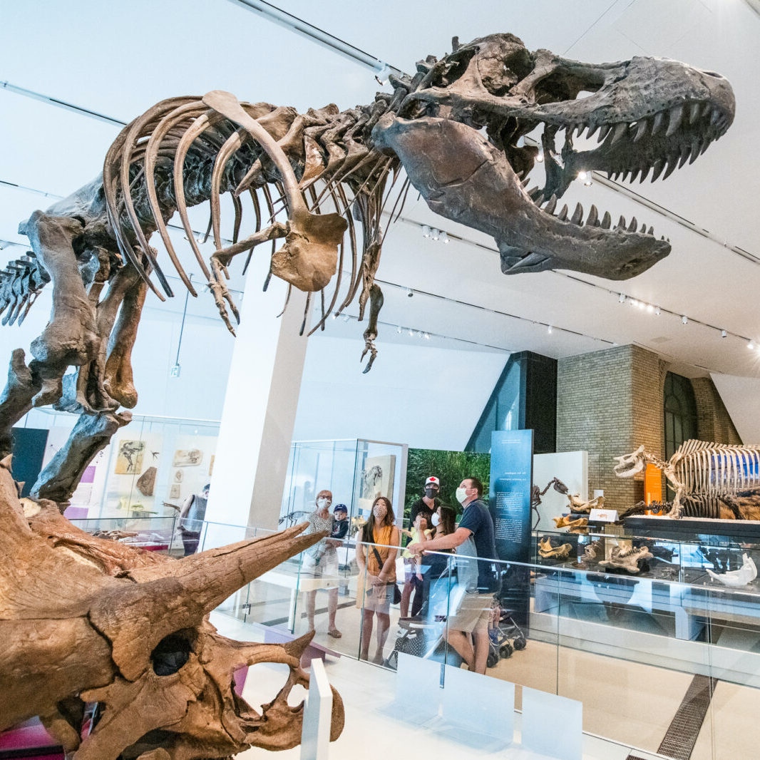 Opera Atelier (@operaatelier) on Twitter photo Opera Atelier is returning to the Royal Ontario Museum (ROM) to present live music on August 2nd. Soprano Karine White and pianist Tina Faye will perform at 12:30pm and 2:00pm in the Currelly Gallery. Come out for a day of education and culture! Opera Atelier is returning to the Royal Ontario Museum (ROM) to present live music on August 2nd. Soprano Karine White and pianist Tina Faye will perform at 12:30pm and 2:00pm in the Currelly Gallery. Come out for a day of education and culture!