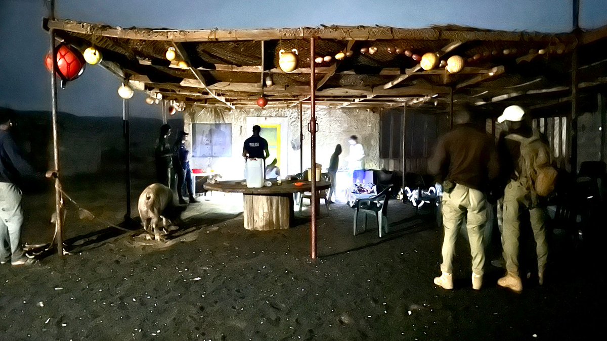 Project Biodiversity tweet media