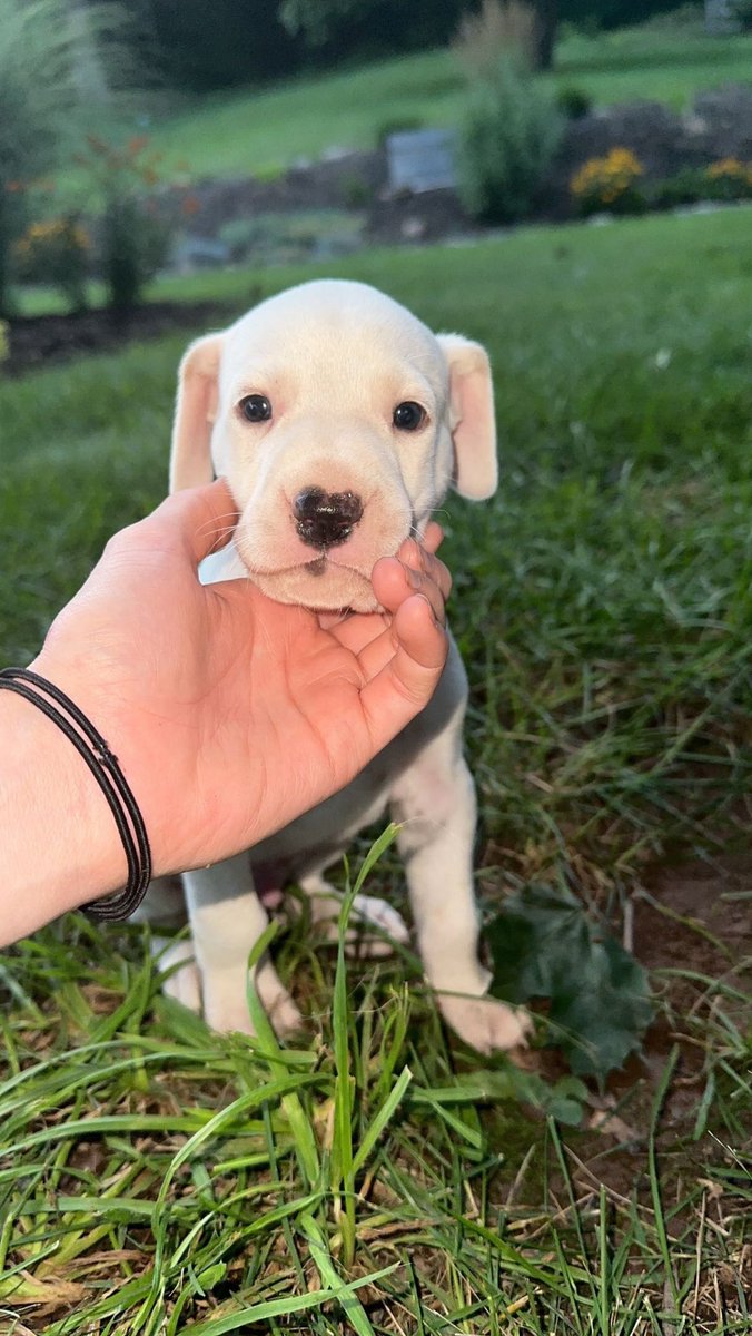 McKaylaS13's tweet photo. Shut up he’s so cute https://t.co/Lzke1jFBLv