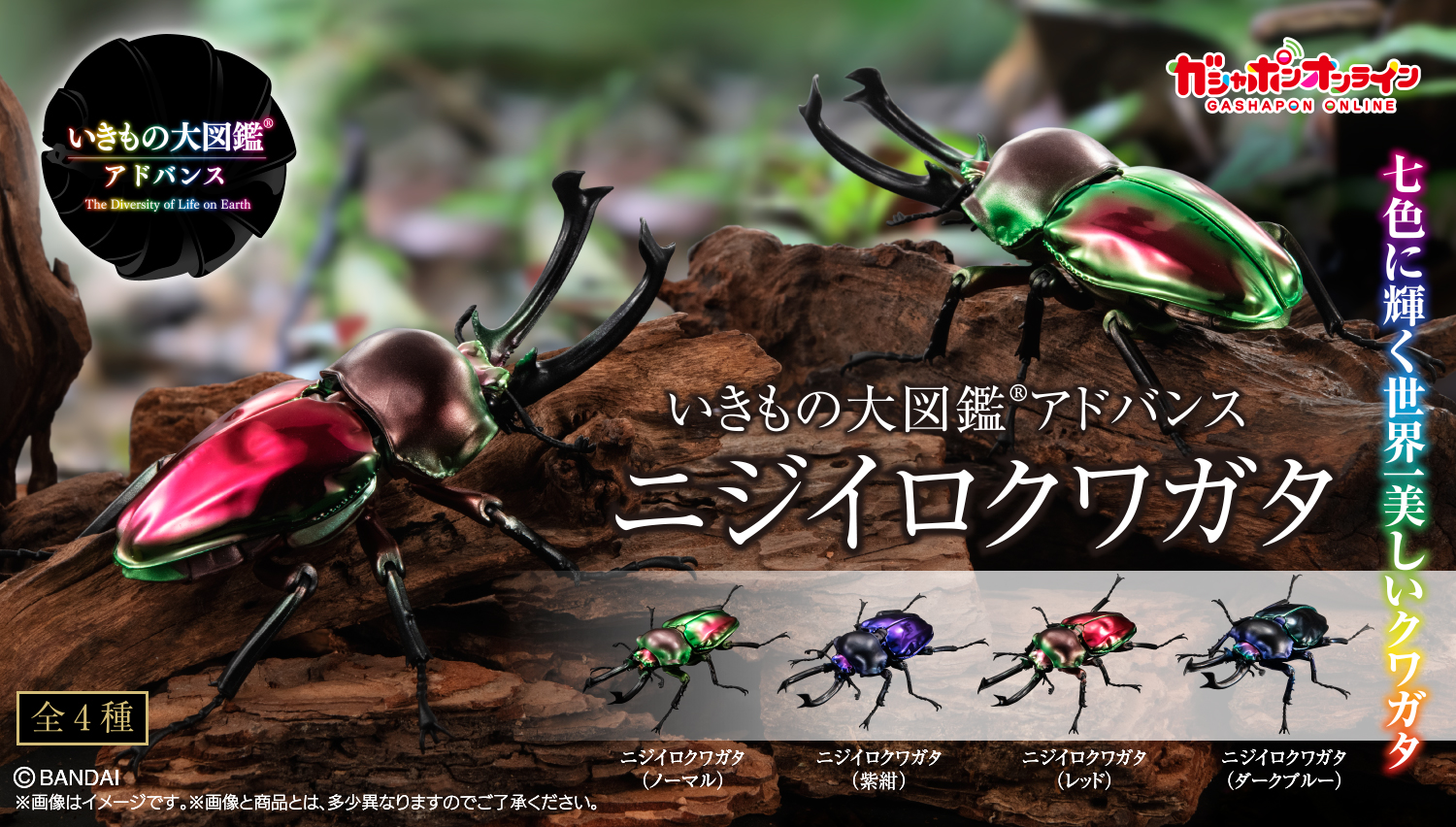 いきもの大図鑑アドバンス ニジイロクワガタ | ナムコパークス