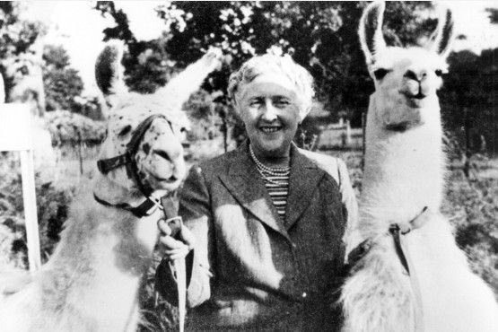 In 1976, a one-year-old girl in London was suffering from a mysterious illness. The nurses, who had read Agatha’s novel The Pale Horse, quickly discerned that she was suffering from thallium poisoning. The book’s descriptions of the poison saved the girl’s life.