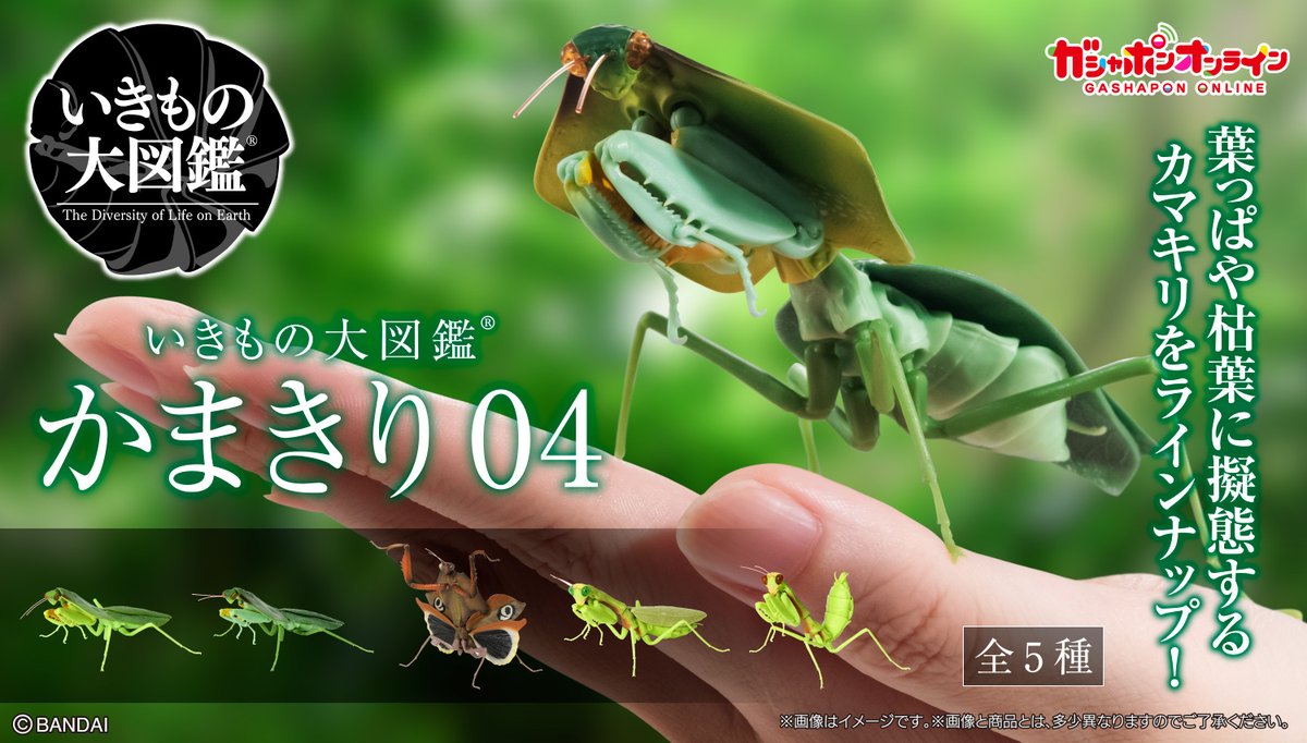 いきもの大図鑑 かまきり04 （税込500円） ＼ #ガシャポンオンライン