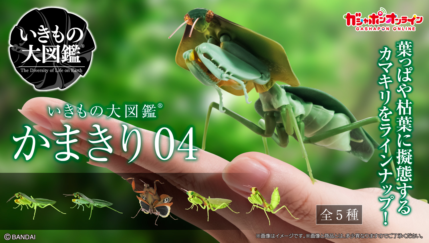 かまきり30MMシリーズまとめ かまきり30MMシリーズまとめ かまきり30MMシリーズまとめ かまきり30MM