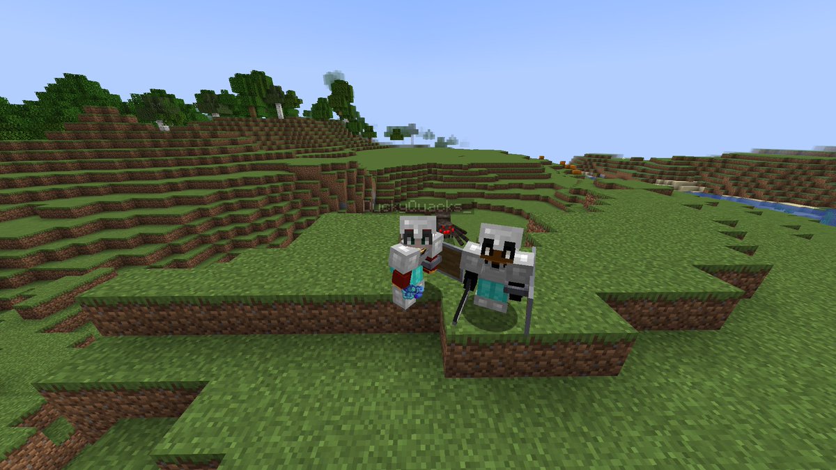DuckyQuacks6's tweet photo. Best Mist Smp start ever! https://t.co/nvYUAXbFZX