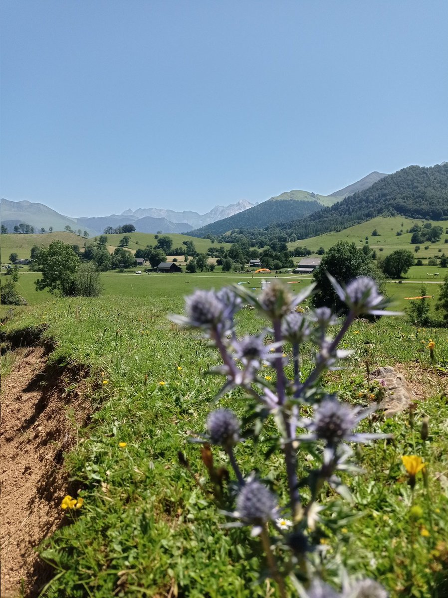 DanielGisquet's tweet photo. Petite #baladesympa sur le plateau du #benou #pyrenees #MagnifiqueFrance à 20mn #ogeulesbains #leclosdecinacle https://t.co/GJLX6OyKkT