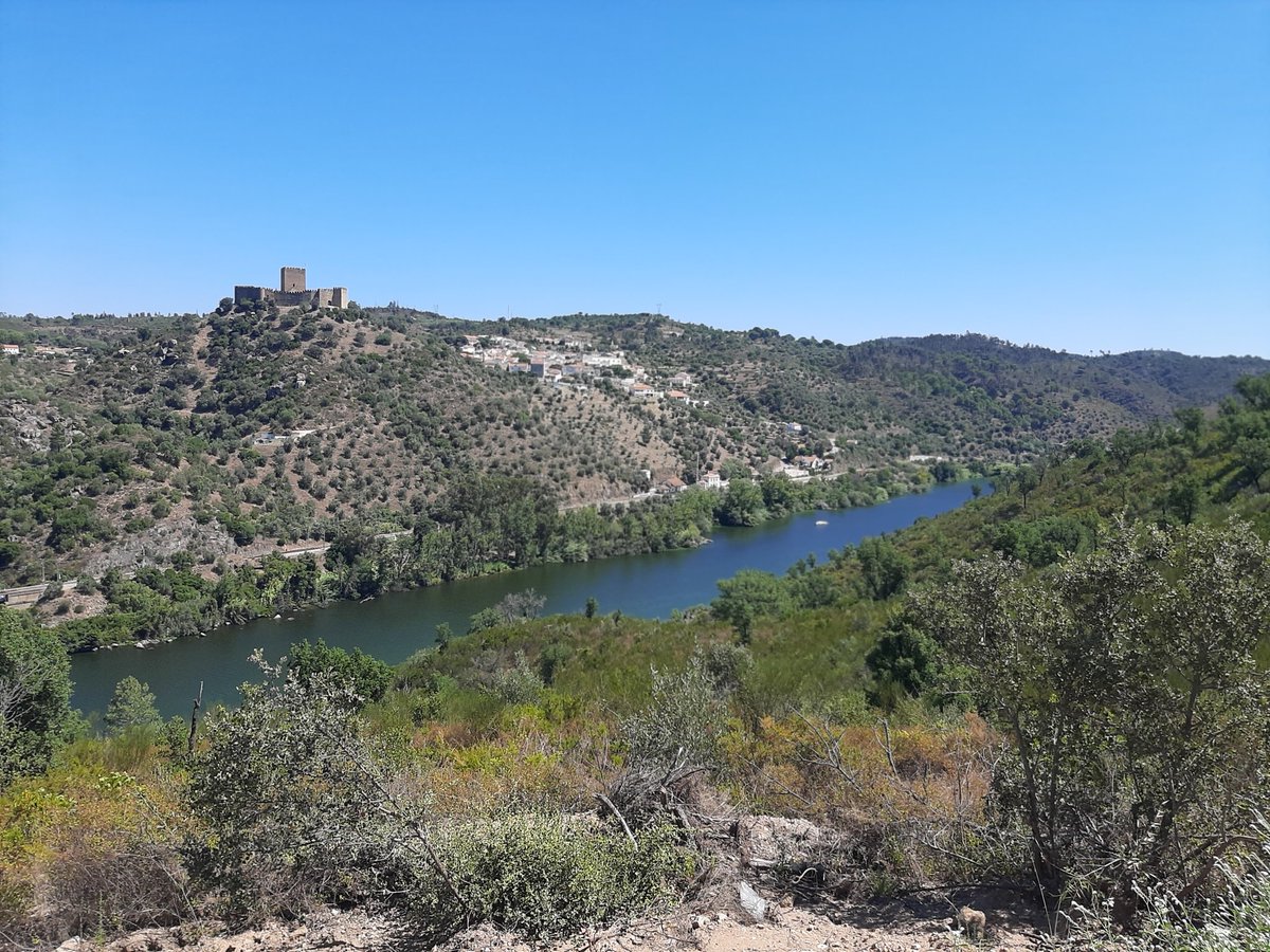 Ana Luísa de Oliveira (@luisaredtree) on Twitter photo 