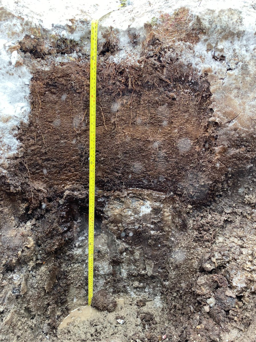 Tom Douglas (@thomas_douglas) on Twitter photo New paper! @mildlybasic <a href="/RobynBarbato/">Robyn Barbato</a> <a href="/boreal_brad/">Brad Baxter</a> +others show oxidized soil iron in thawed #permafrost mobilizes to streams. The Arctic is rusting! Major ramifications for water/soils. Photos show oxidized soils above frozen reduced ones pubs.acs.org/doi/full/10.10… <a href="/ACSEarthSpace/">ACS Earth Space Chem</a> New paper! @mildlybasic <a href="/RobynBarbato/">Robyn Barbato</a> <a href="/boreal_brad/">Brad Baxter</a> +others show oxidized soil iron in thawed #permafrost mobilizes to streams. The Arctic is rusting! Major ramifications for water/soils. Photos show oxidized soils above frozen reduced ones pubs.acs.org/doi/full/10.10… <a href="/ACSEarthSpace/">ACS Earth Space Chem</a>