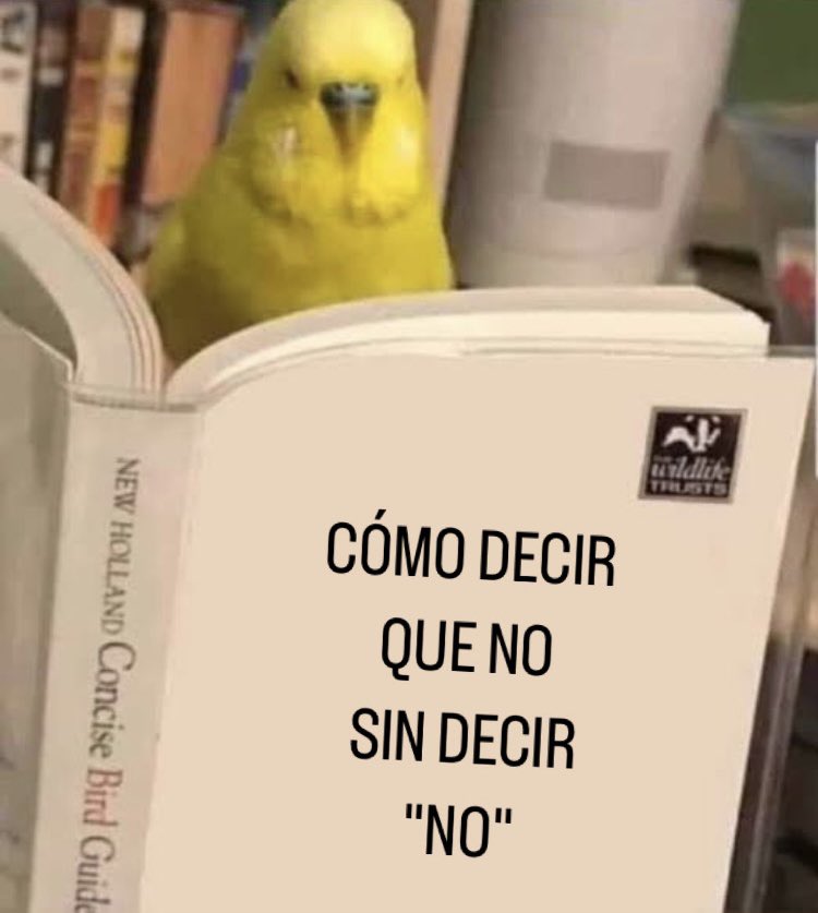 Súper Carteles tweet media