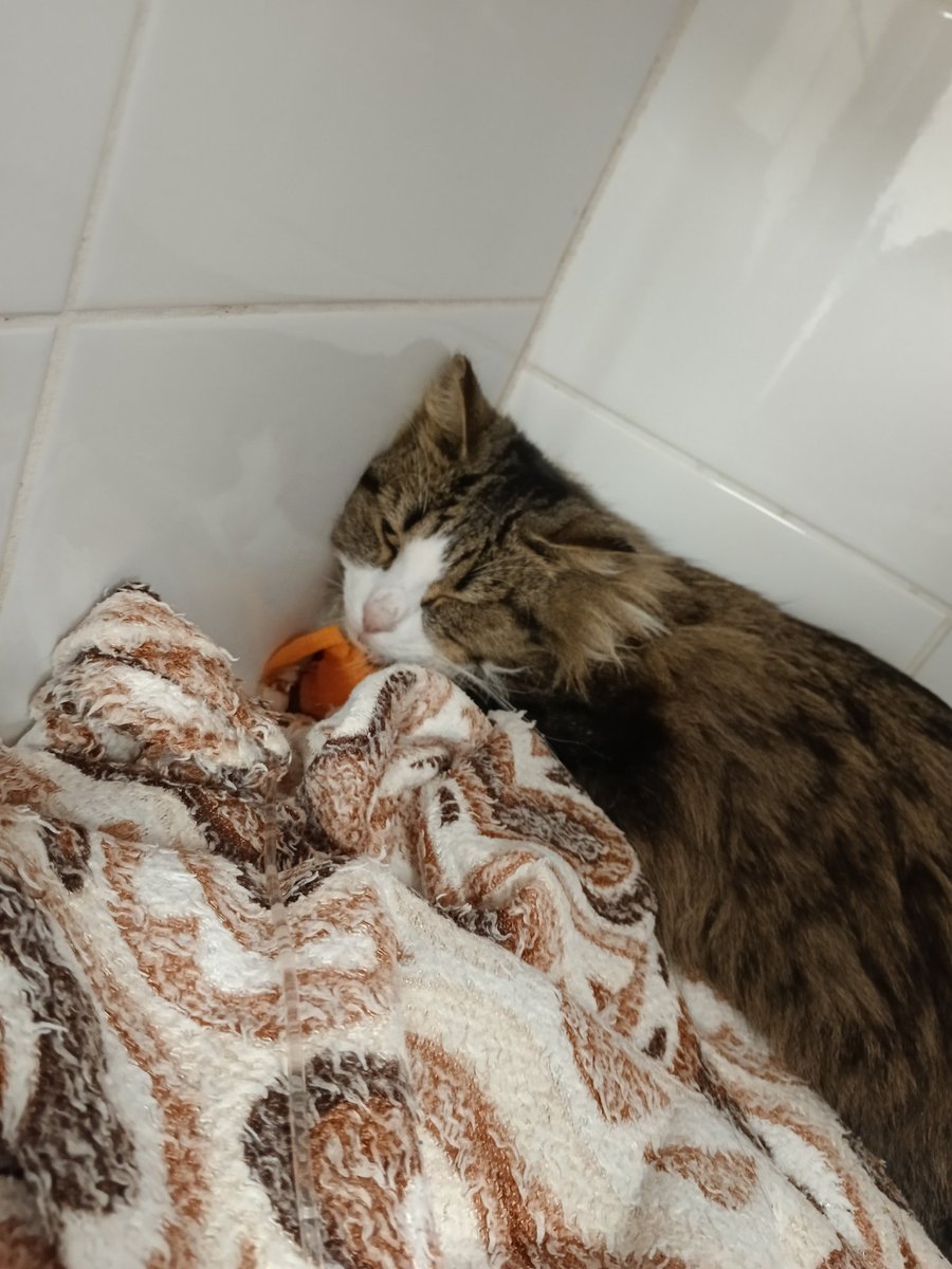 Ждём, когда малышка поправится 😭