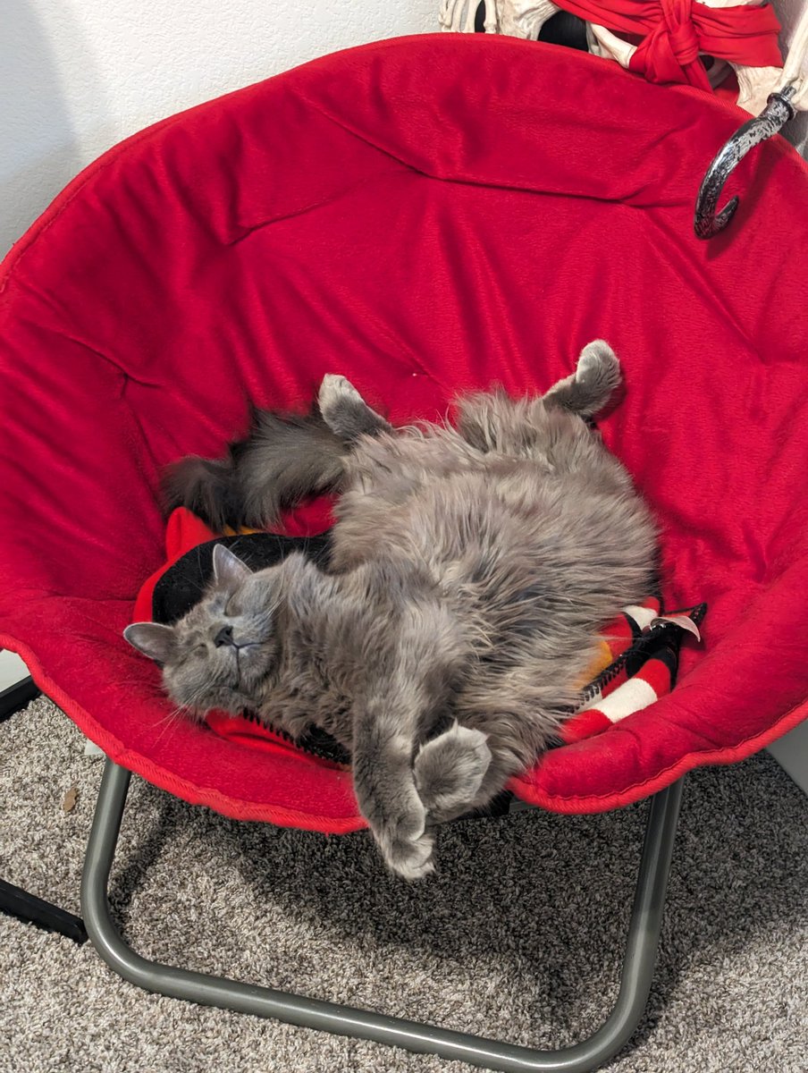 thegremqueen's tweet photo. him always sprawlin https://t.co/dDYXi2fff1