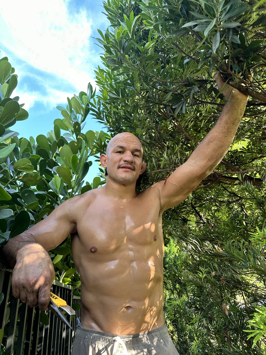 Junior Dos Santos tweet media