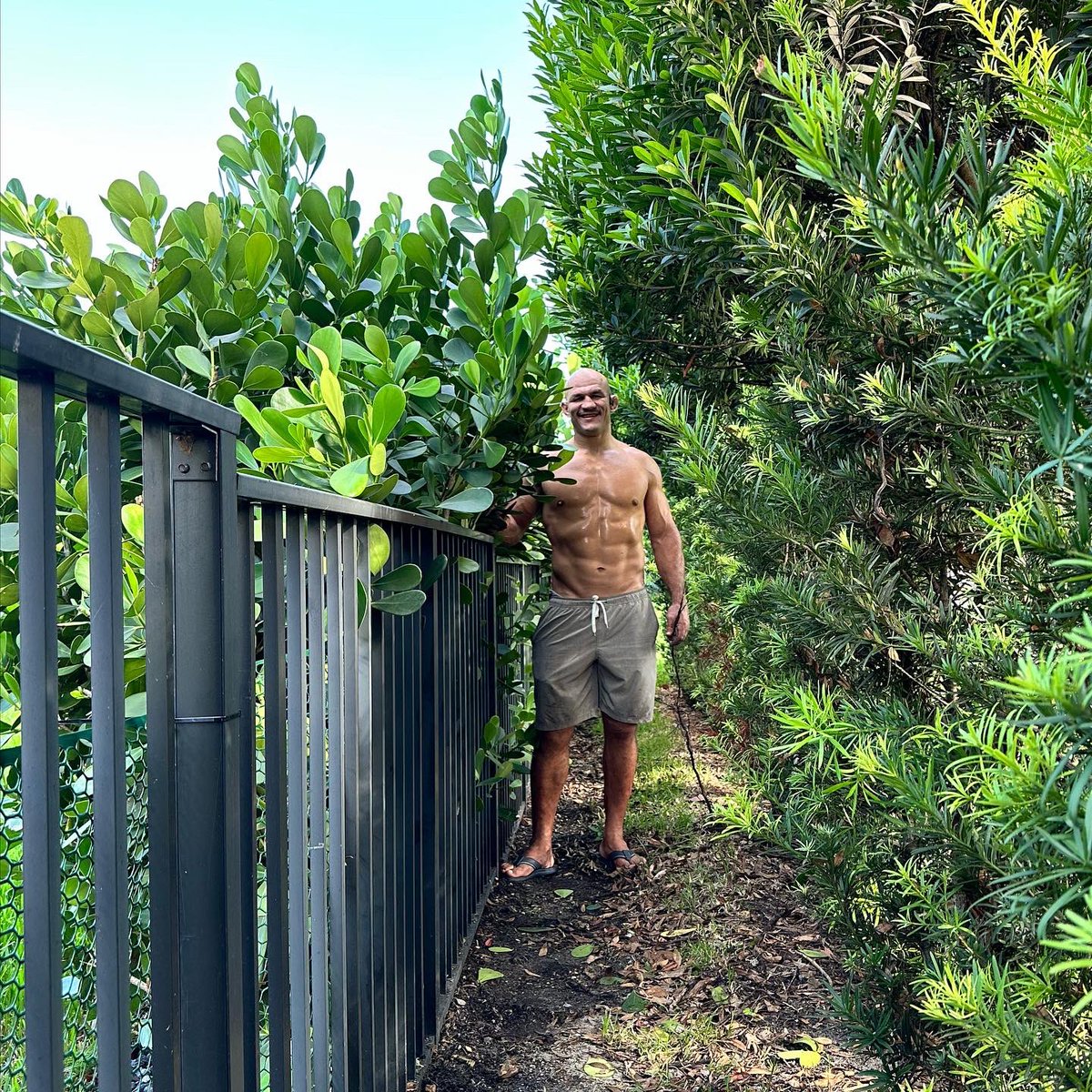 Junior Dos Santos tweet media