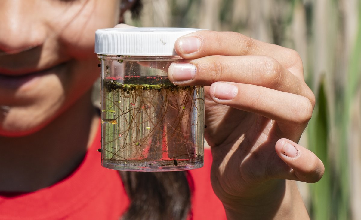 Delta Stewardship Council tweet media