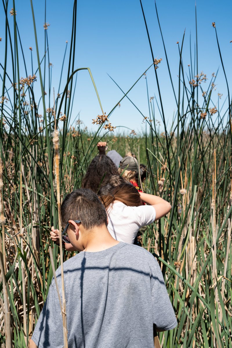 Delta Stewardship Council tweet media