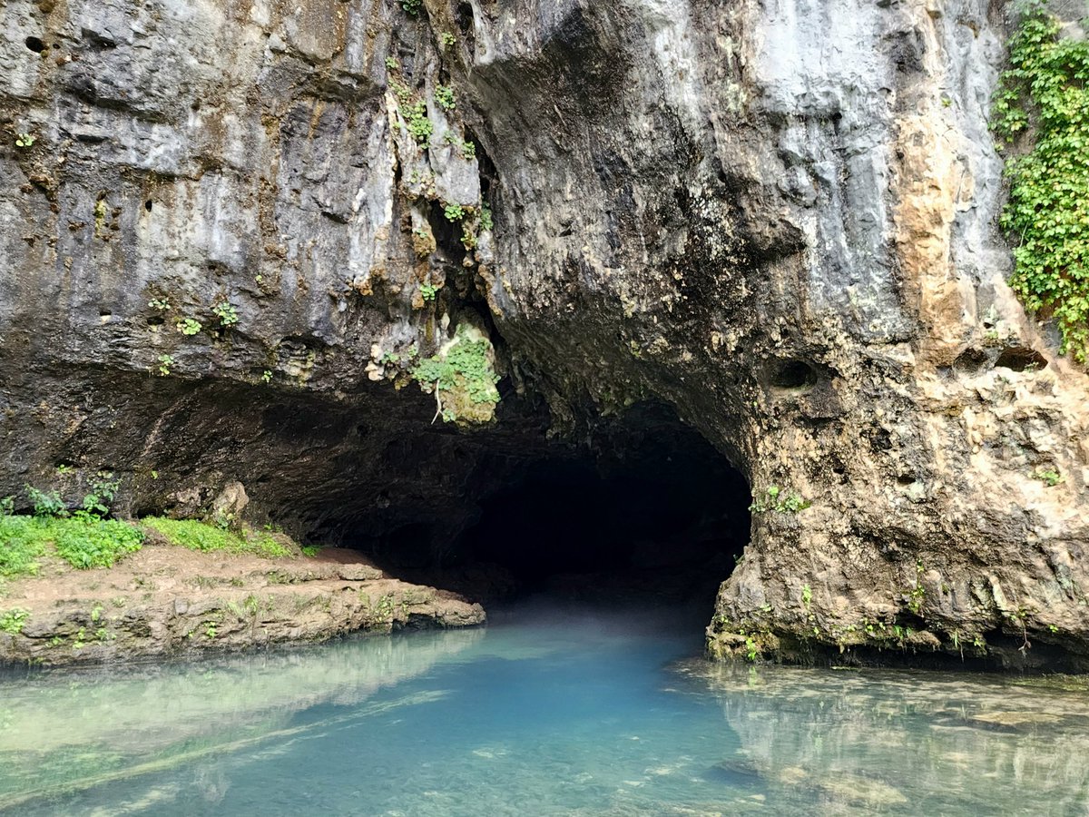 sarahkendzior's tweet photo. Things have been bad, but I am a Missourian, so I handled it properly, which is to say I floated away in a canoe https://t.co/vDd518Isnx