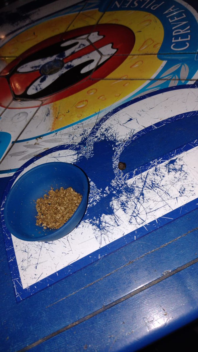Vai rola os queridinhos kank com Ice 🍁🧊