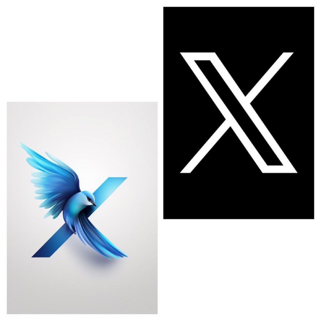 X242153's tweet photo. Which one do you like more - blue or black 𝕏 design? @elonmusk https://t.co/08MdRIsmmm