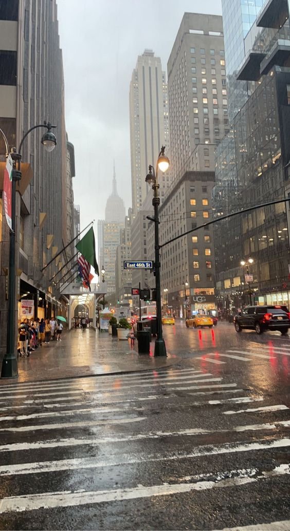 liIacdaisy's tweet photo. rainy days https://t.co/7T1F2fpbSB