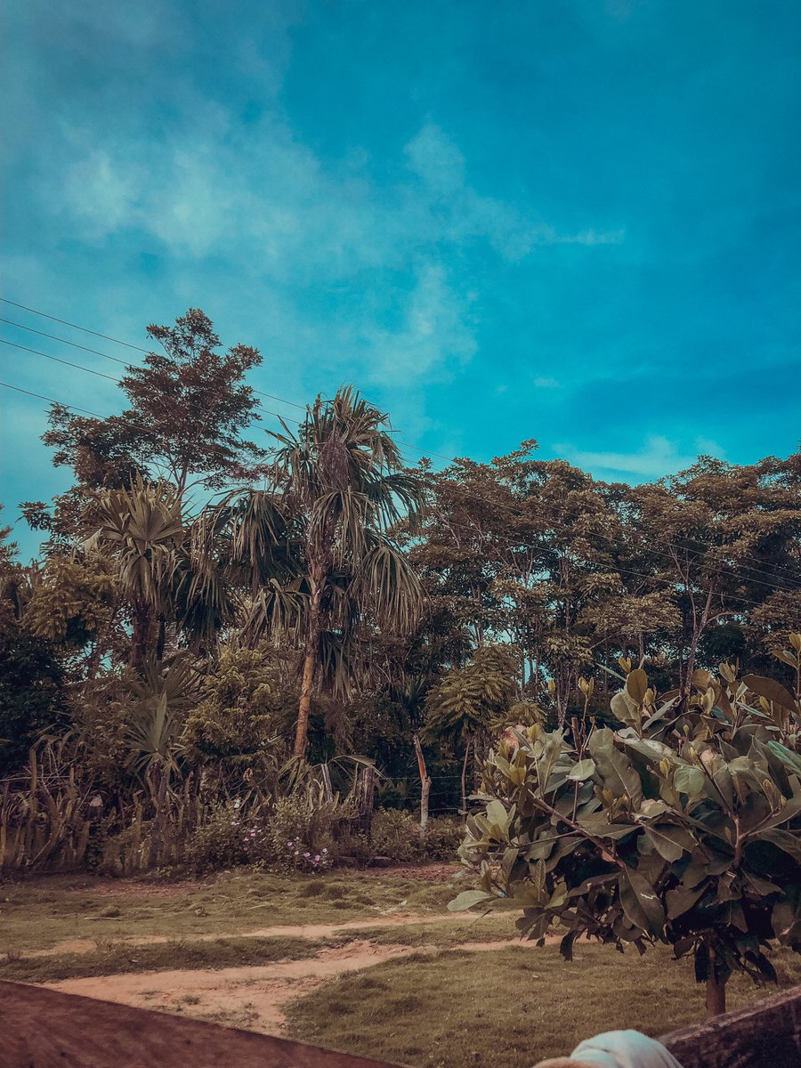 aurytha10's tweet photo. Estos lugares 😍🍃🍂 https://t.co/3KJL4WhIpf