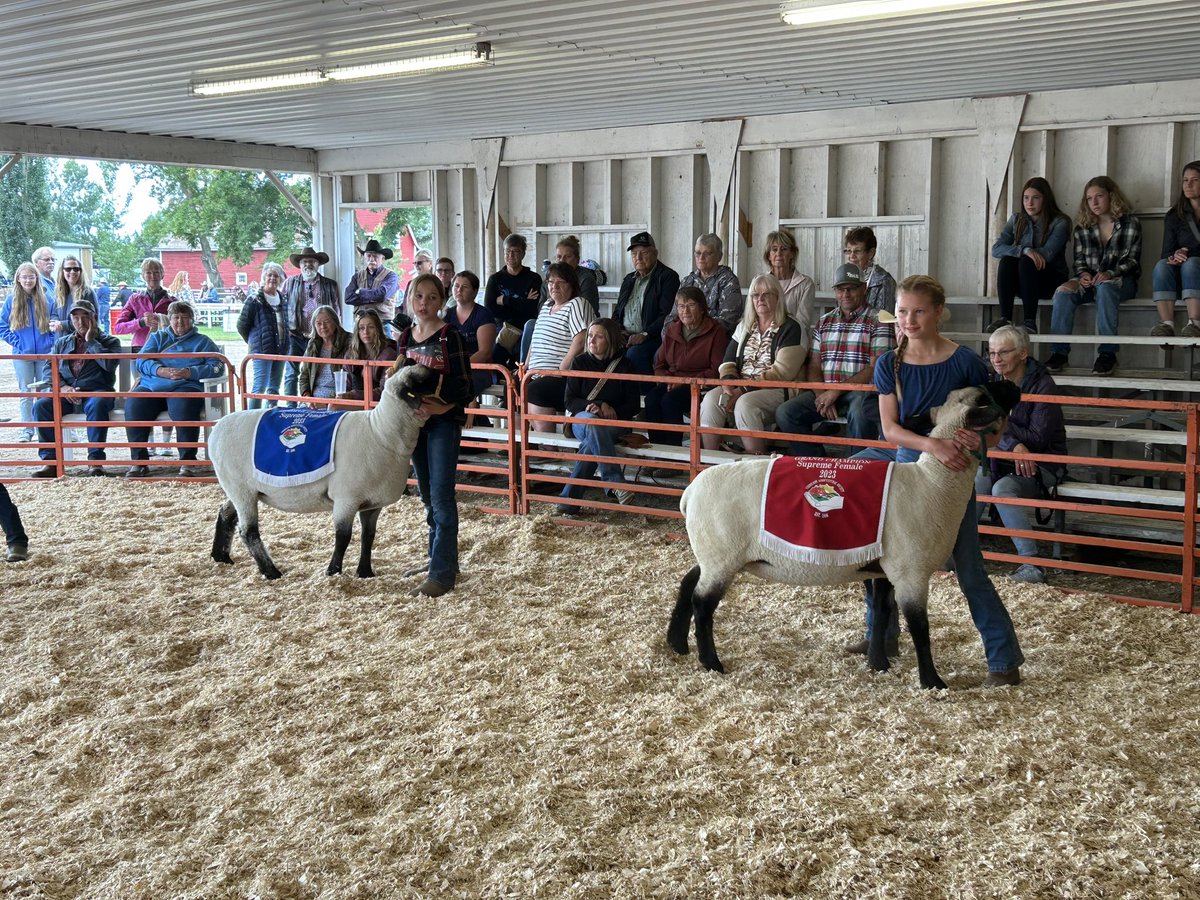 Kaylie Krys tweet media