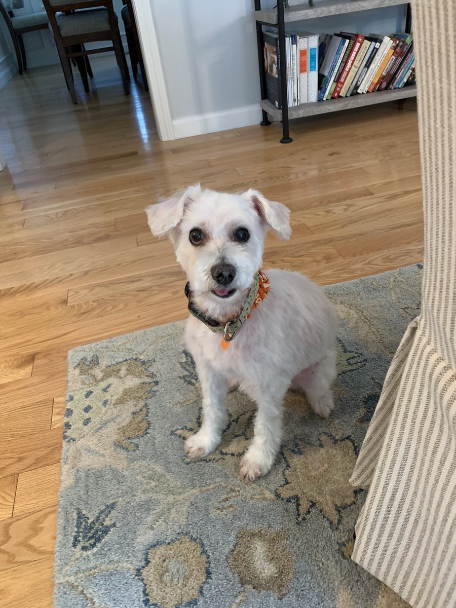 Stefanie tweet media