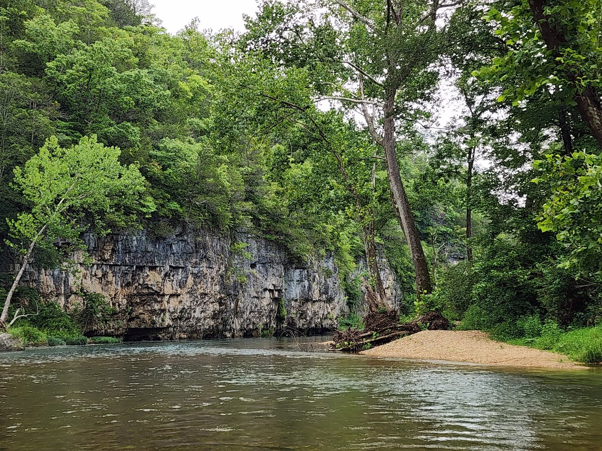 sarahkendzior's tweet photo. Did I get hit by a surprise storm and get stuck on an uninhabited island for hours without any supplies? No I did not, my canoe had cup holders, I am a Missourian and had float trip supplies https://t.co/GDA492EFOt